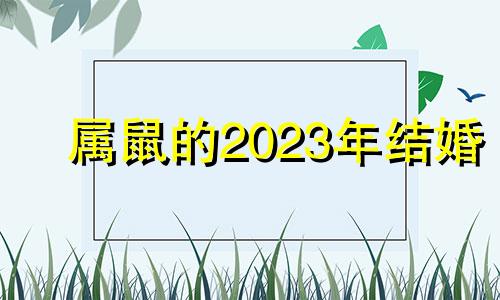 属鼠的2023年结婚 属鼠人2024年的命运