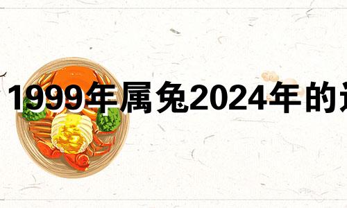 1999年属兔2024年的运势 1999年属兔人2023年感情运势