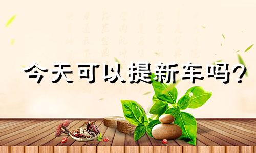 今天可以提新车吗? 今天可以提新车吗最新消息