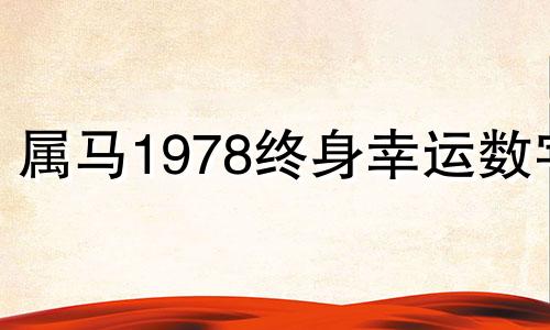 属马1978终身幸运数字 78年属马手机号尾数几最好