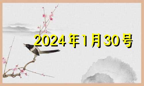 2024年1月30号 2034年1月1日农历是多少