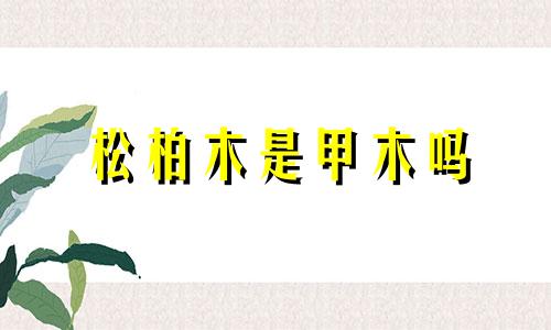 松柏木是甲木吗 庚寅年松柏木命人