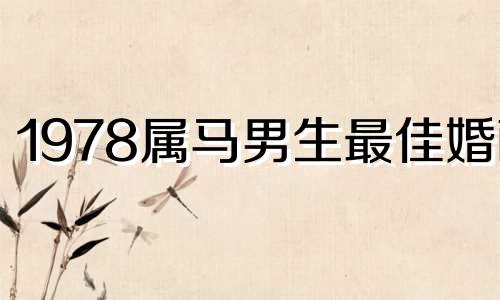 1978属马男生最佳婚配 1978年属马男人怎么样对爱情