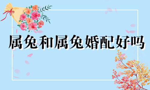 属兔和属兔婚配好吗 属兔和兔配婚姻好不好