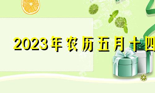 2023年农历五月十四 二o二一年农历五月十四