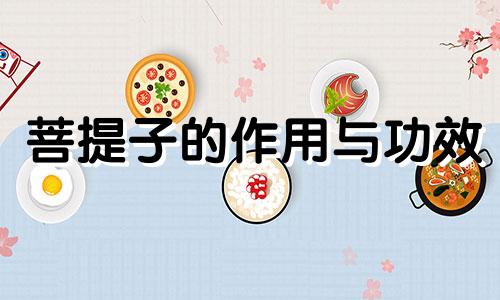 菩提子的作用与功效 菩提变色8个过程图