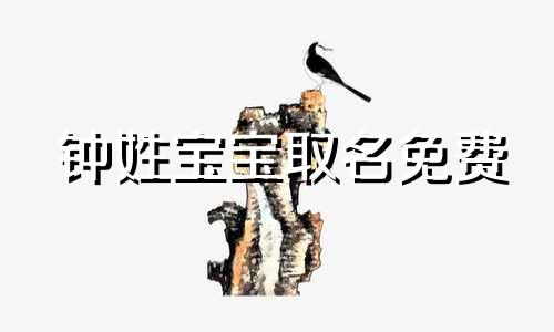 钟姓宝宝取名免费 适合明年牛年的宝宝名字姓钟