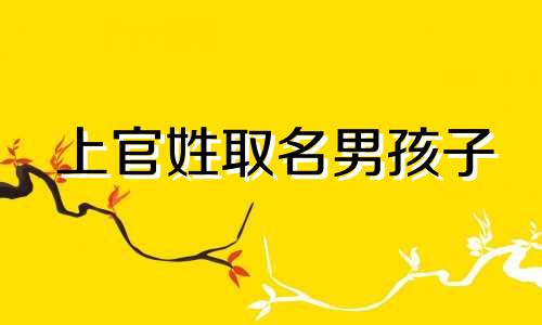 上官姓取名男孩子 孩子姓上官取什么名字