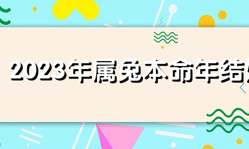 2023年属兔本命年结婚 2023年属兔的本命年命运怎么样