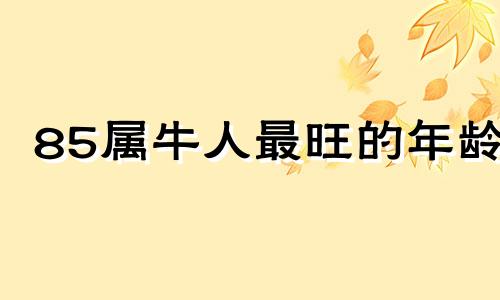 85属牛人最旺的年龄 85属牛人最旺的年龄是明年吗