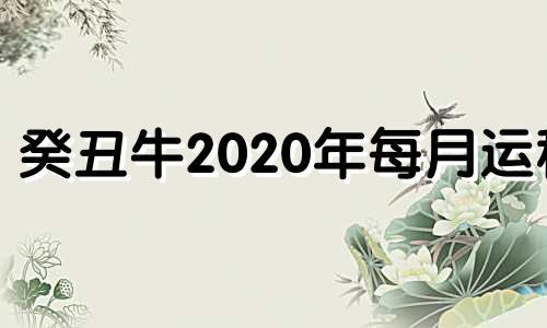 癸丑牛2020年每月运程 癸丑牛2021