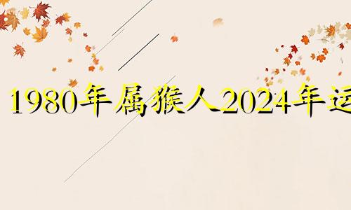 1980年属猴人2024年运势 1980属猴的人在2024年怎么样