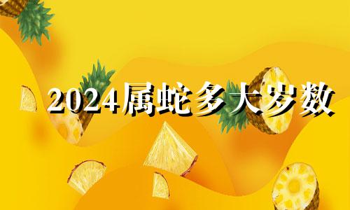 2024属蛇多大岁数 2024年属蛇多少岁