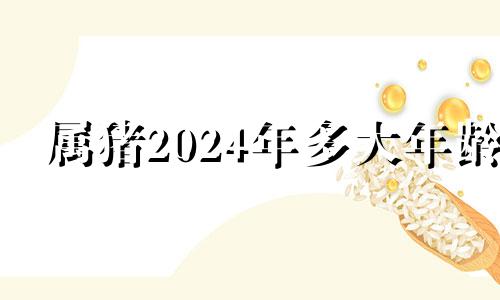 属猪2024年多大年龄 属猪运势2024年运势详解