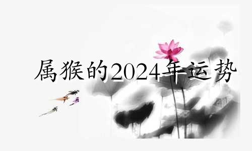 属猴的2024年运势 生肖猴2024