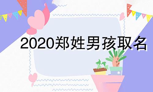 2020郑姓男孩取名 2024年郑姓男宝宝取名大全两个字的名字有哪些