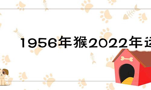 1956年猴2022年运势 1956属猴人2021年运势运程每月运程