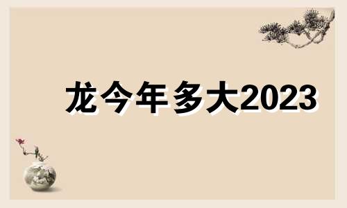 龙今年多大2023 龙今年多大年龄了2023年