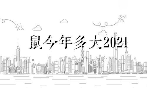 鼠今年多大2021 鼠今年多大2020