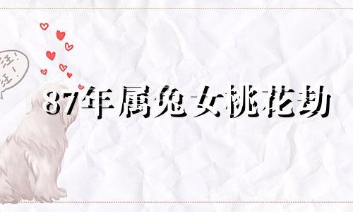 87年属兔女桃花劫 87属兔的桃花劫是什么属相