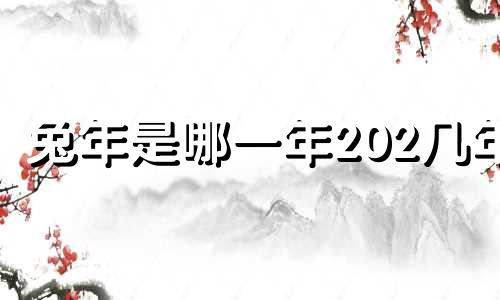 兔年是哪一年202几年 下一次癸卯兔年是哪一年