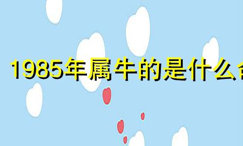 1985年属牛的是什么命 85年属牛的是什么命