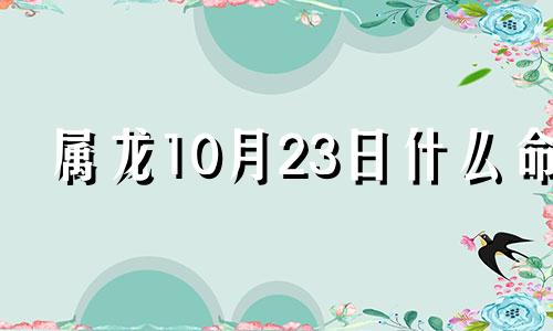 属龙10月23日什么命 2024年10月10日