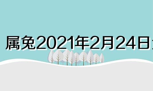 属兔2021年2月24日运势 属兔人在2024年的整体运势如何