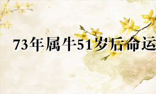 73年属牛51岁后命运 97年属牛26岁有一劫