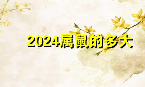 2024属鼠的多大 属鼠人2024年全年运势详解