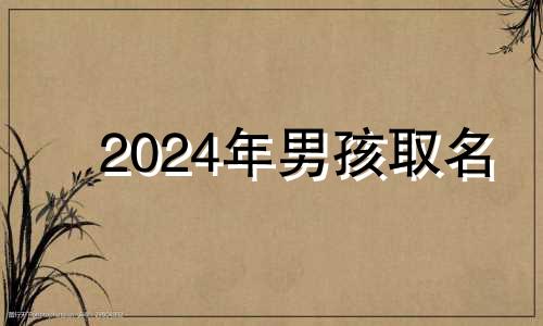 2024年男孩取名 2024年男孩几月出生好