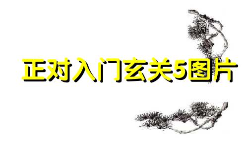 正对入门玄关5图片 什么属相不能带桃木