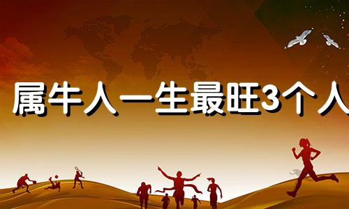 属牛人一生最旺3个人 属牛人跟谁一起财运好2024年