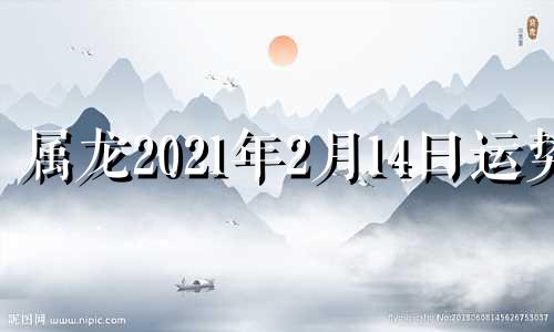 属龙2021年2月14日运势 2024年属龙人的命运