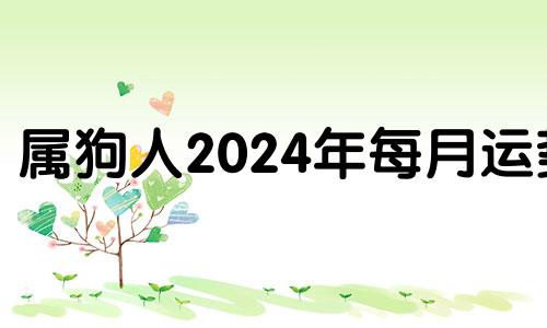 属狗人2024年每月运势 2024年属狗人的命运