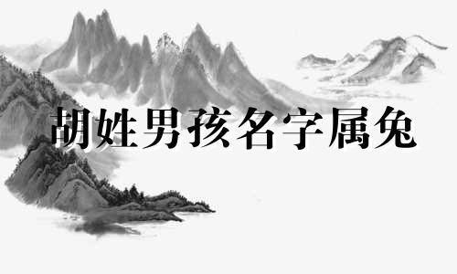 胡姓男孩名字属兔 姓胡宝宝起什么名字