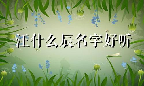 汪什么辰名字好听 汪宸名字解释