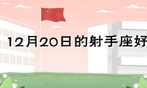 12月20日的射手座好吗 2024年12月20日射手座运势