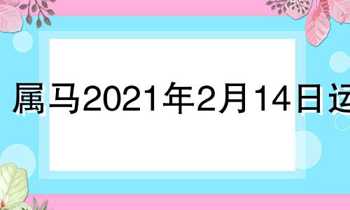 属马2021年2月14日运势 2024年马年的运势