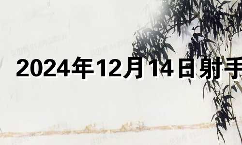 2024年12月14日射手座 射手座12月14号运势