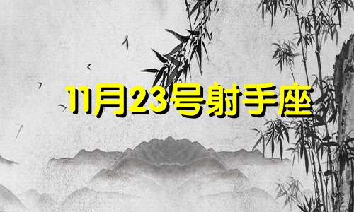 11月23号射手座 射手座11月23号出生命好不好