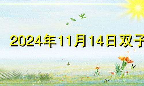 2024年11月14日双子座 2021年11月双子座运势完整版