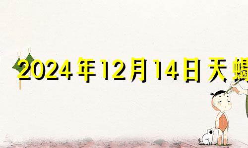 2024年12月14日天蝎座 2024年12月31号