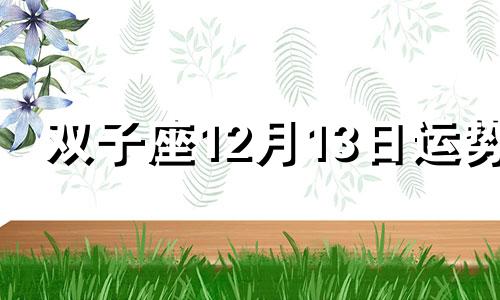 双子座12月13日运势 双子座2024年12月23日运势