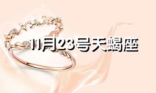 11月23号天蝎座 11月3号的天蝎座怎么样