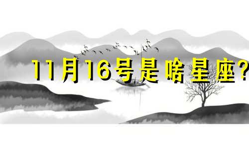 11月16号是啥星座? 11月16日星座是什么星座