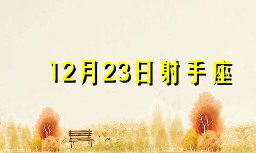 12月23日射手座 射手座2024年12月