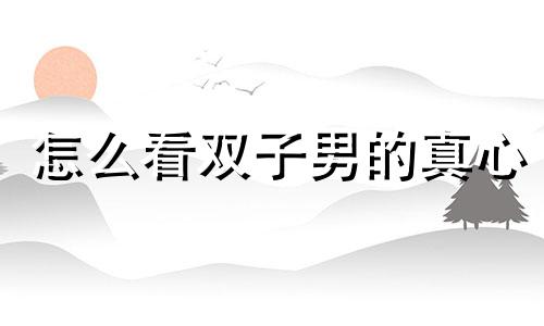 怎么看双子男的真心 如何判断双子男在不在乎你