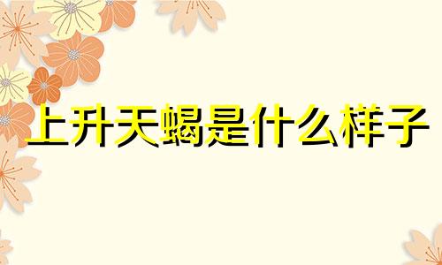 上升天蝎是什么样子 上升天蝎是天蝎吗?