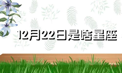 12月22日是啥星座 12月22日是什么座的